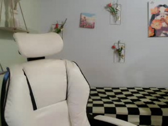 snow_2000 webcam model stream image