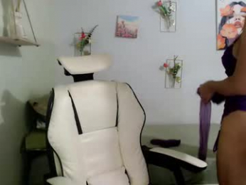 snow_2000 webcam model stream image