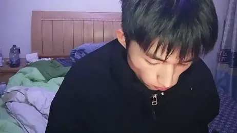 N228 webcam model stream image