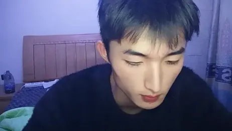 N228 webcam model stream image