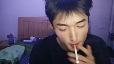 N228 webcam model stream image