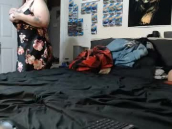 spider19752020 webcam model stream image