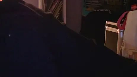 watermellonpussy webcam model stream image