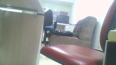 TonyBrasil webcam model stream image