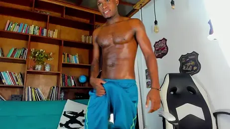AndrewLandazuri webcam model stream image