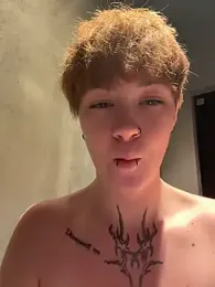 IceMur webcam preview