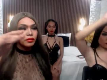 tsgrandshow webcam model stream image