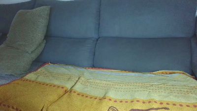 pina35 webcam model stream image