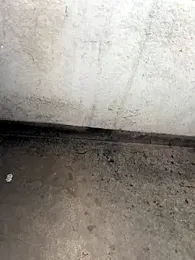 CACHORRONOCIU webcam stripchat model stream image