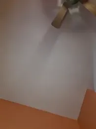 ffinegirl webcam model stream image