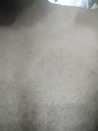 delhi-service webcam model stream image