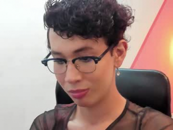 allen_jax webcam model stream image