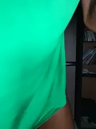 LeVeL43 webcam model stream image