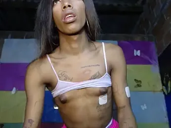 BabyDickTs1 webcam model stream image