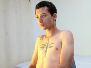 sirdravion webcam model stream image