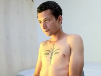 sirdravion webcam model stream image