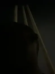 chocolatemeatstick25 webcam model stream image