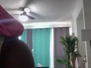 coco-dethick webcam model stream image