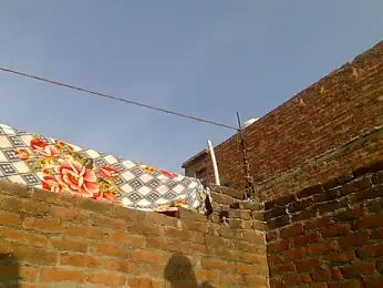 Stubborndesiboy webcam stripchat model stream image