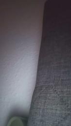 amphe webcam model stream image