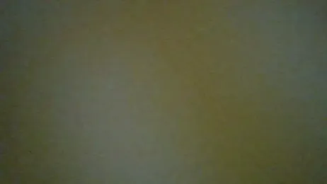 ExoticVibes69 webcam stripchat model stream image