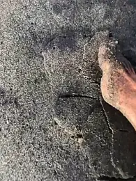 kvr27 webcam model stream image