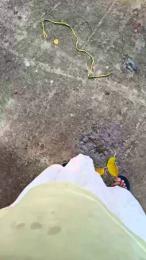 Exoticboy24 webcam model stream image