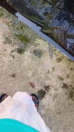 Exoticboy24 webcam model stream image