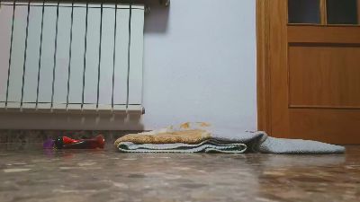 sebaxxxxxx2 webcam cam4 model stream image