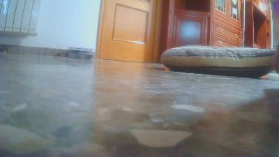 sebaxxxxxx2 webcam model stream image