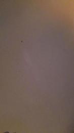 Penele webcam model stream image