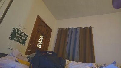 Beardedveteran webcam model stream image