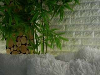 maycrute camsoda stream image