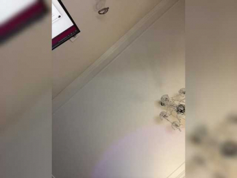 avolood bongacams stream image