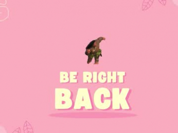 cuddlymoana chaturbate stream image