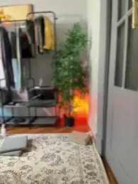 Oopsfoxy stripchat stream image