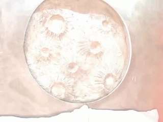 alison-mooon camsoda stream image