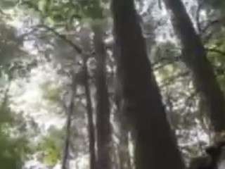 itstaylorofficial camsoda stream image