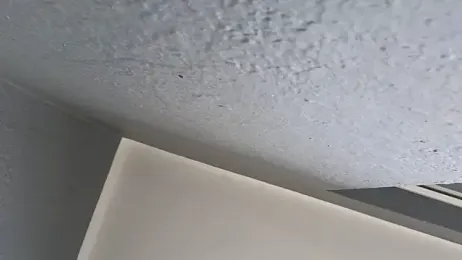 TopsyWilde stripchat stream image