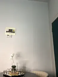 slimcateee stripchat stream image