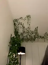 _SweetCandyy stripchat stream image