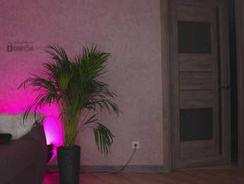 misstics_ bongacams stream image