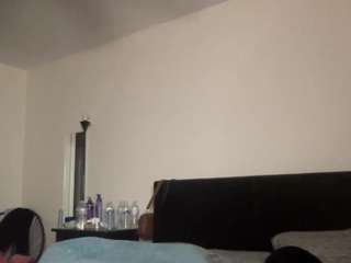 t1ger camsoda stream image