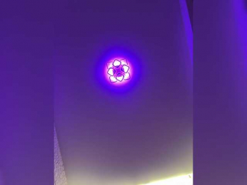 ne_prisedala bongacams stream image
