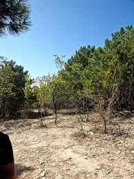 -Pupsiki- stripchat stream image