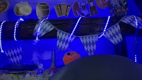 coyemoo stripchat stream image