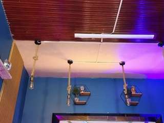 lady-brownn camsoda stream image