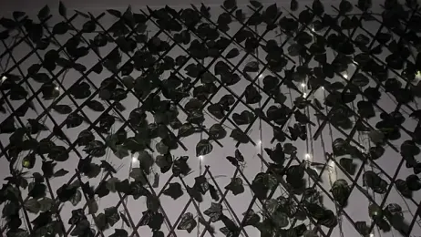 CoralineSanchez stripchat stream image