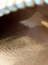 AngelinaTeller stripchat stream image