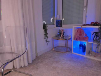 seilyfox bongacams stream image